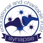 synapse